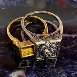 SALE!! Compartment lion ring size 9 #4